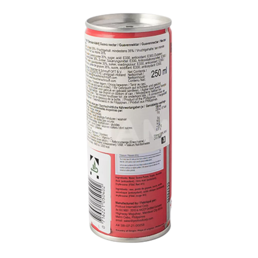 FILIPPIJNSE MERK Guava Nectar Ds 250ML