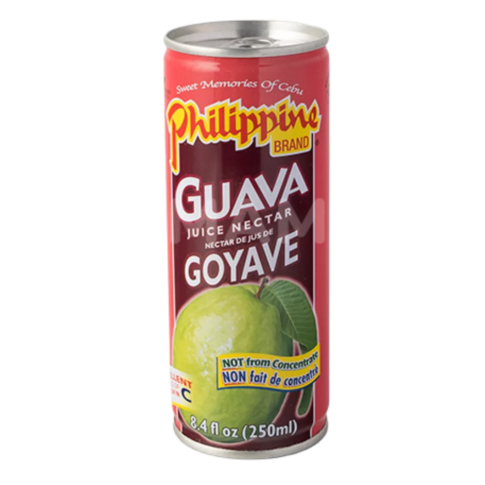 FILIPPIJNSE MERK Guava Nectar Ds 250ML