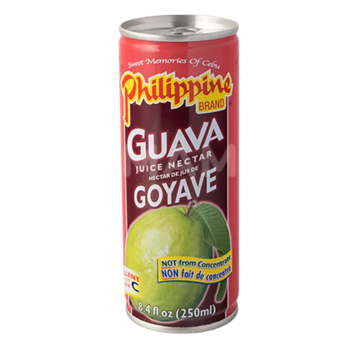 FILIPPIJNSE MERK Guava Nectar Ds 250ML
